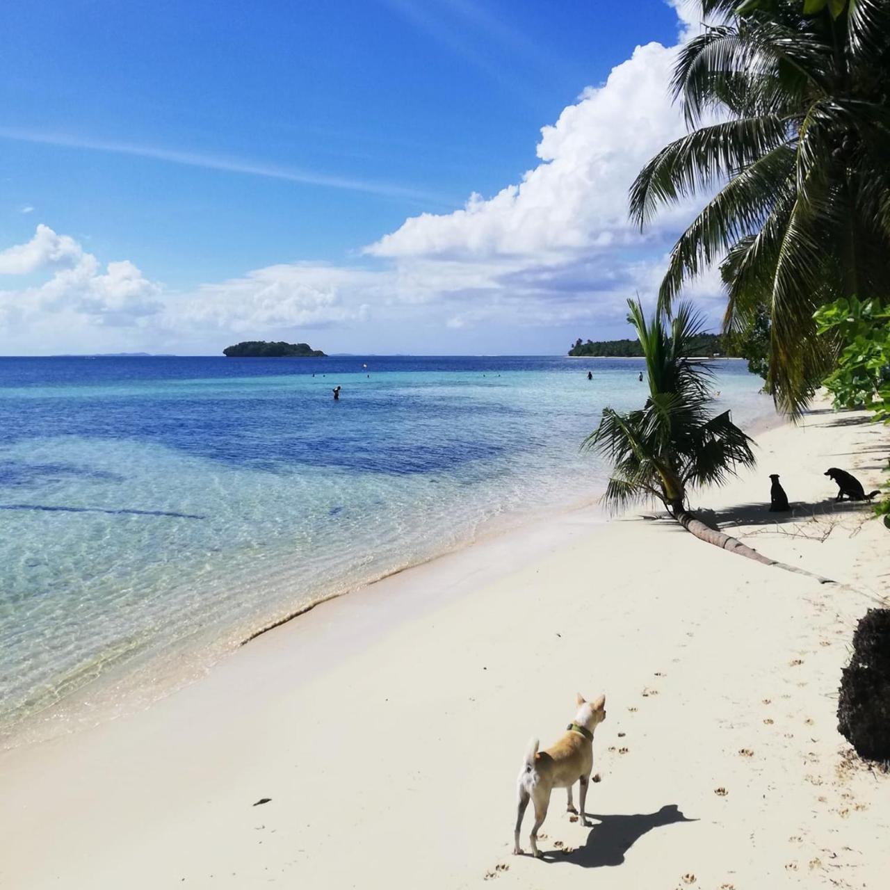Ferra Resort Siargao (Adults Only) General Luna  Buitenkant foto
